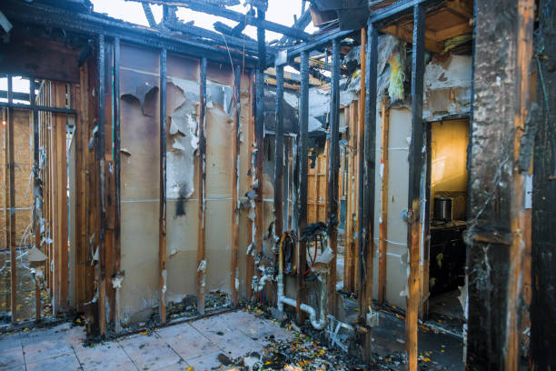 Professional Emergency Fire Cleanup technician working in Gruetli-Laager, TN